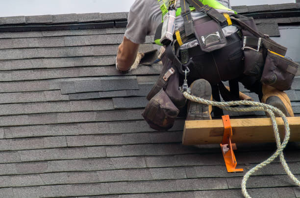 Roof Gutter Cleaning in Angels, CA