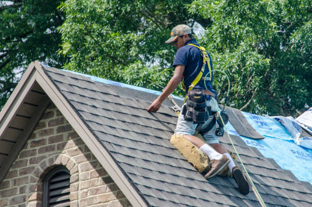 Best Gutter Installation and Roofing  in Angels, CA